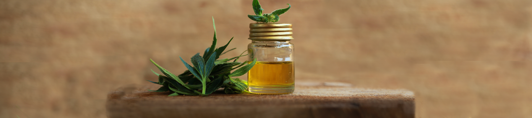 Facts and Myths of CBD – What’s the Difference - Recovery ReLeaf